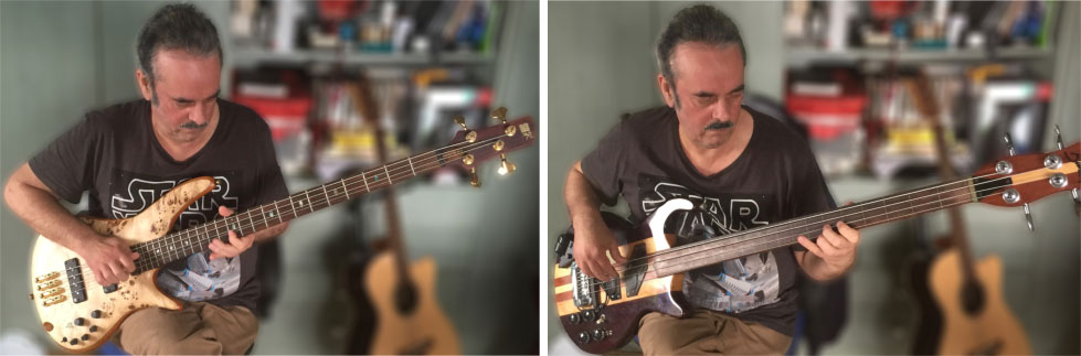 Professor B - fretted and fretless basses